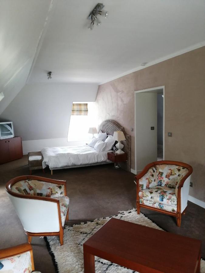 Chateau De La Faye Menetreol-sur-Sauldre エクステリア 写真