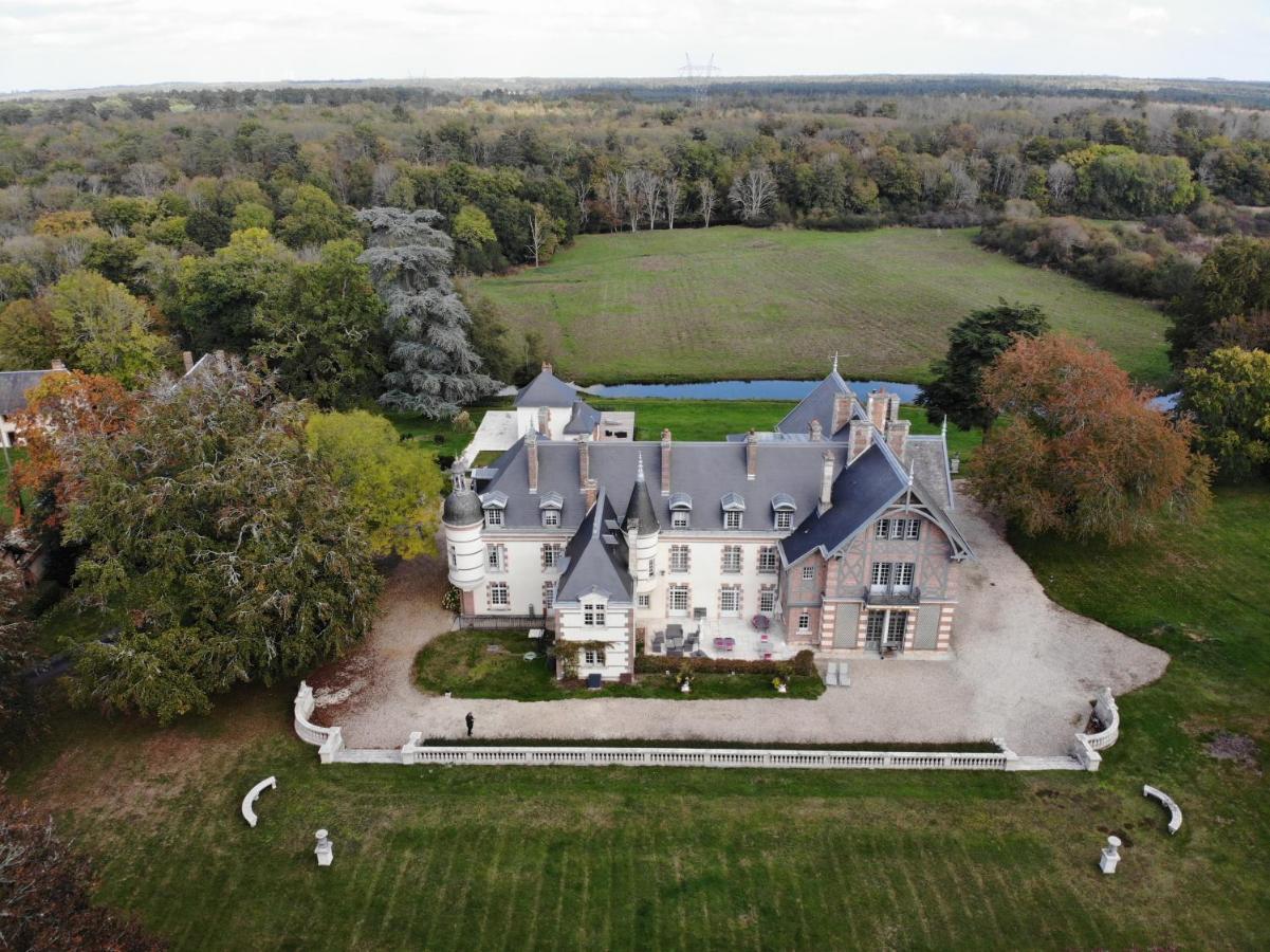 Chateau De La Faye Menetreol-sur-Sauldre エクステリア 写真