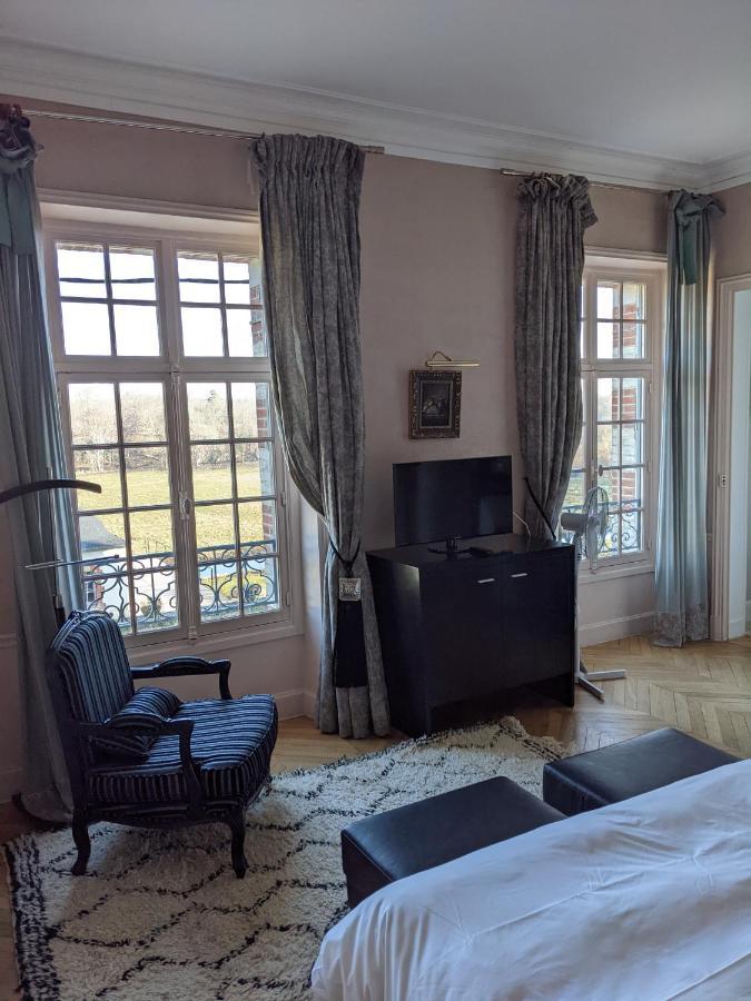 Chateau De La Faye Menetreol-sur-Sauldre エクステリア 写真