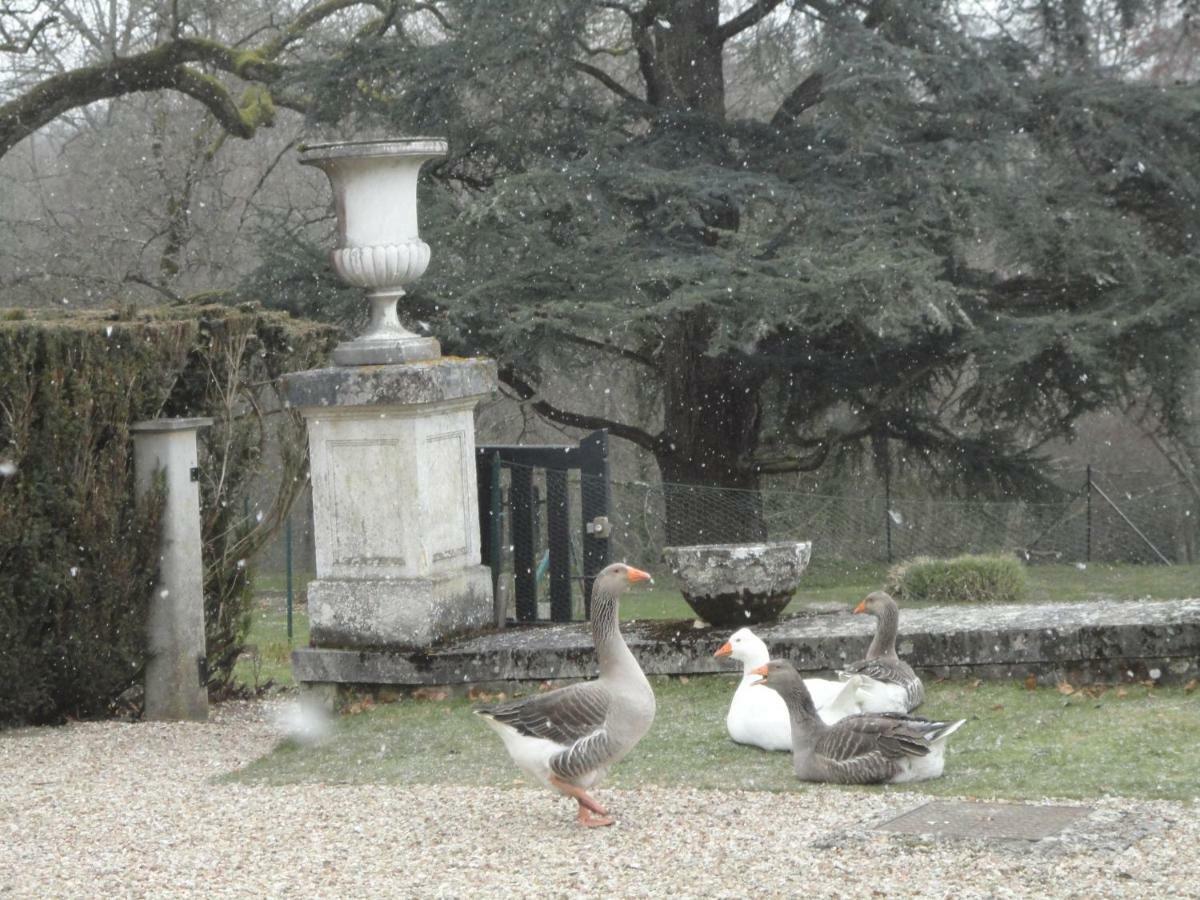 Chateau De La Faye Menetreol-sur-Sauldre エクステリア 写真