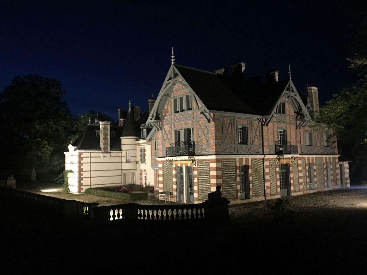 Chateau De La Faye Menetreol-sur-Sauldre エクステリア 写真